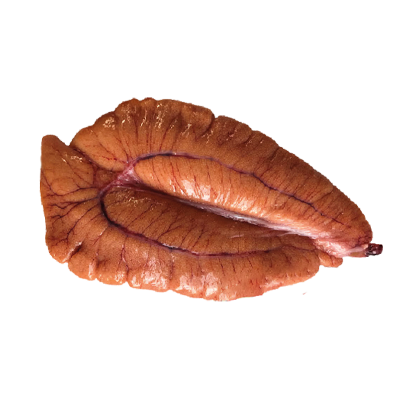 Hilsha Egg